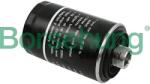 BORSEHUNG Filtru ulei BORSEHUNG B12795 (B12795)