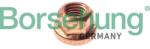 BORSEHUNG piulita, galeria de evacuare BORSEHUNG B10639 (B10639)