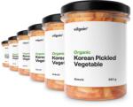 Vilgain Multipack 6 pièces - BIO fermentált zöldségek -⁠ delikát, enyhén pikáns íz, alacsony kalóriatartalommal, tartósítószer nélkül