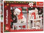 Trefl 200 db-os puzzle - Kiskutya karácsonyi fotózás (13302) (13302)