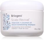 Briogeo Scalp Revival hámlasztó sampon hajra 236 ml