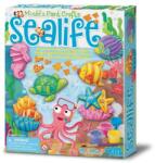 4M Tengeri állatok gipszkiöntő készlet 81482