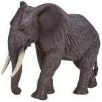 Mojo elefant african (DDMJ387189) Figurina