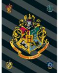 Jerry Fabrics Gyerek polár takaró Harry Potter "HP067" 100x150 cm