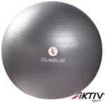 Sveltus Gimnasztikai labda Sveltus Gymball 65 cm szürke (0340) - aktivsport
