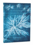 Paperblanks butikkönyv, Anna Atkins’ Cyanotypes, Sea Flowers, Midi, von. MEGSZ (FB1367-0)