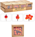 Koopman Dekor bogyó Szett - Narancssárga Gyümölcsök és Bogyók - 3 Féle (MT1001640)