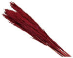 D&D Díszfű piros (431305)