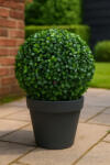 QX-IMP Buxus gömb, zöld, UV álló, 21 cm, műanyag (569031)