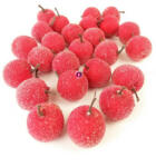 Golddeko Dekor Cukros alma, - piros 18 db / cs (GD1906142A)