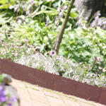 STR 3x Ágyásszegély kő hatású barna 237 cm DECOnline (2171292)