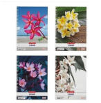 Herlitz Spirálfüzet A/4 70 Lapos Négyzetrácsos Flower (H09549577)