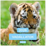  Nebulo Lemeznaptár Vadállatok 2026 (AAE159)