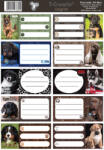 T-Creativ Füzetcímke 10 Darab/Ív Dogs (N13049TDO)