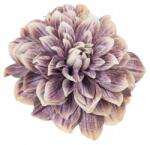  Dália Termék Fej Ón Virág Mesterséges Nád Kompozíció (xx) - allegro - 285 Ft