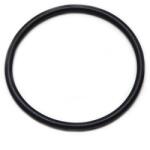 WTS O-ring pentru rezervoare in presiune cu filet de 2, 5 toli (WTS0315010301038) Filtru de apa bucatarie si accesorii