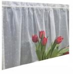  Irigység Konyhai Függöny Olcsó Szép Modern Esővédő Drizzly 200x30 (6511)