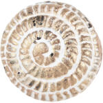 Clayre & Eef Buton mobilier metal multicolor Ø 4x4 cm / S3 cm (64179)
