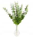 MartineX Eukaliptusz Mesterséges Ág nád koszorú kompozíció Kiegészítő 47CM Pikk-pakk (GAŁAZKA eukaliptus) - allegro - 205 Ft
