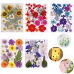  100X Természetes Szárított Préselt Virágok Vegyes Szárított Diy Gyanta Levelek (Suszone kwiaty 100szt)