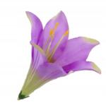 MartineX Liliom Tubus Művirág Termék fej nagy 16cm Liliom Művirág (LILIA)