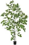  EUROPALMS Birch Tree, artificial plant, 180cm (82505231)