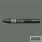 Winsor & Newton ProMarker kétvégű alkoholos filctoll - IG6, ice grey 6