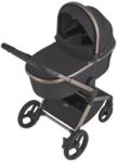 ANEX Flo 2 in 1 Carucior