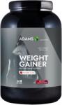Adams Vision Weight Gainer cu aroma de capsuni, 1500g, Adams Vision