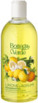 Bottega Verde Gel de dus cu aroma de lamai Limone e Agrumi, 400ml, Bottega Verde