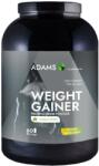 Adams Vision Weight Gainer cu aroma de vanilie, 3000g, Adams Vision
