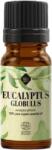 Ellemental Ulei esential de eucalipt globulus, 10ml, Ellemental