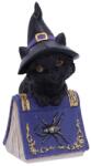 Nemesis Now Статуетка Nemesis Now Adult: Gothic - Pocus, 12 cm (U5232S0)