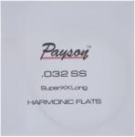 Payson Harmonic Multiscale Flats Single C String . 032