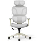 FlexiSpot BS5 ergonomikus irodai szék, zöld- hálós háttámla, állítható karfák és modern megjelenés (BS5G)