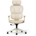 FlexiSpot BS5 ergonomikus irodai szék, fehér - hálós háttámla, állítható karfák és modern megjelenés (BS5W)