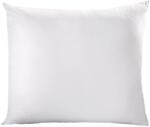 AMW Antiallergén párna, AMW, poliészter/mikroszálas, 45x45 cm, fehér (1220468)