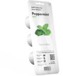 Click & Grow Mentă (Peppermint) pentru Click & Grow - Smart Garden (4742793007397)