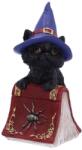 Nemesis Now Statuetă Nemesis Now Adult: Gothic - Hocus, 12 cm (U5231S0) Figurina
