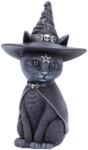 Nemesis Now Statuetă Nemesis Now Adult: Cult Cuties - Purrah, 13 cm (NEMN-B5238S0) Figurina