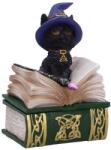 Nemesis Now Statuetă Nemesis Now Adult: Gothic - Binx, 11 cm (U5282S0) Figurina