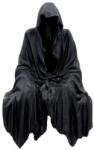 Nemesis Now Statuetă Nemesis Now Adult: Gothic - Darkness Resides (Shelf Sitter), 23 cm (U1734E5) Figurina