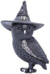 Nemesis Now Statuetă Nemesis Now Adult: Cult Cuties - Owlocen, 13 cm (NEMN-B5239S0) Figurina
