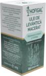 Hofigal Ulei de Levantica macerat, 60 capsule moi, Hofigal