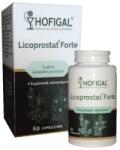 Hofigal Licoprostat Forte, 60 capsule moi, Hofigal
