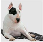 Aqua Coolkeeper Hűtőpárna Kutya - XXL (100x90cm) (50AQMASG13)