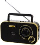  Hordozható analóg AM/FM rádió BLOW RA12 fekete-arany (77-542)
