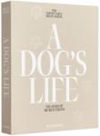 Printworks Album foto A DOG´S LIFE, bej, Printworks (PRPW00621)