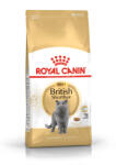 Royal Canin FBN Cat British Shorthair Adult 4kg - krizsopet