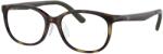 Ray-Ban RY1614D 3863 Havana Demo Lens szemüveg (RY1614D 3863)